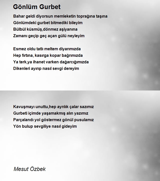 Mesut Özbek
