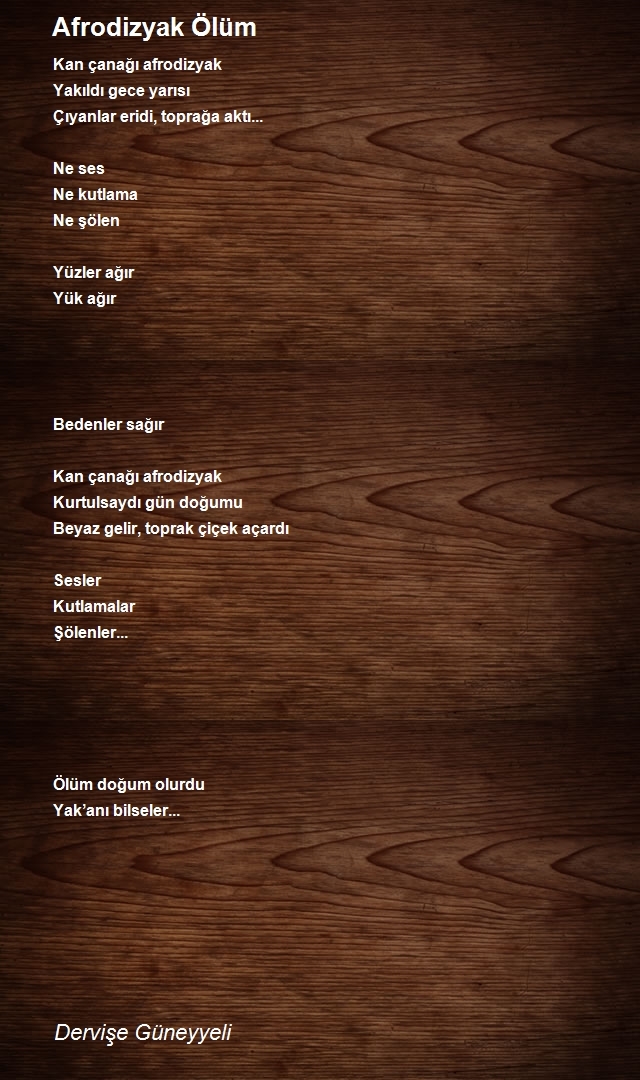 Dervişe Güneyyeli