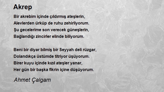 Ahmet Çalgam