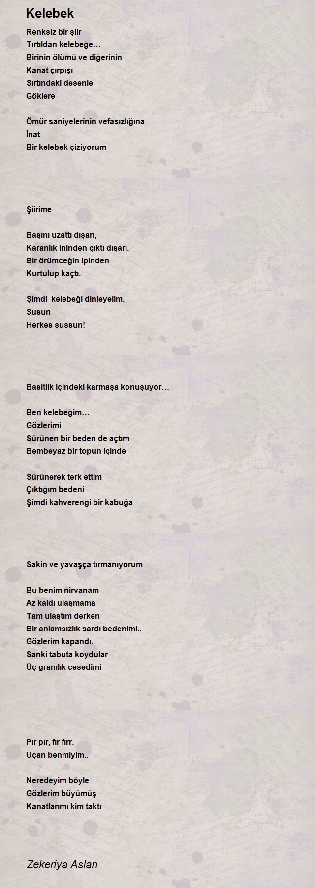 Zekeriya Aslan