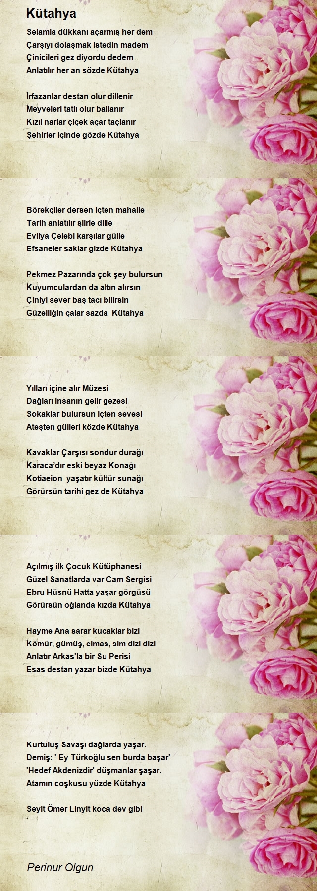 Perinur Olgun