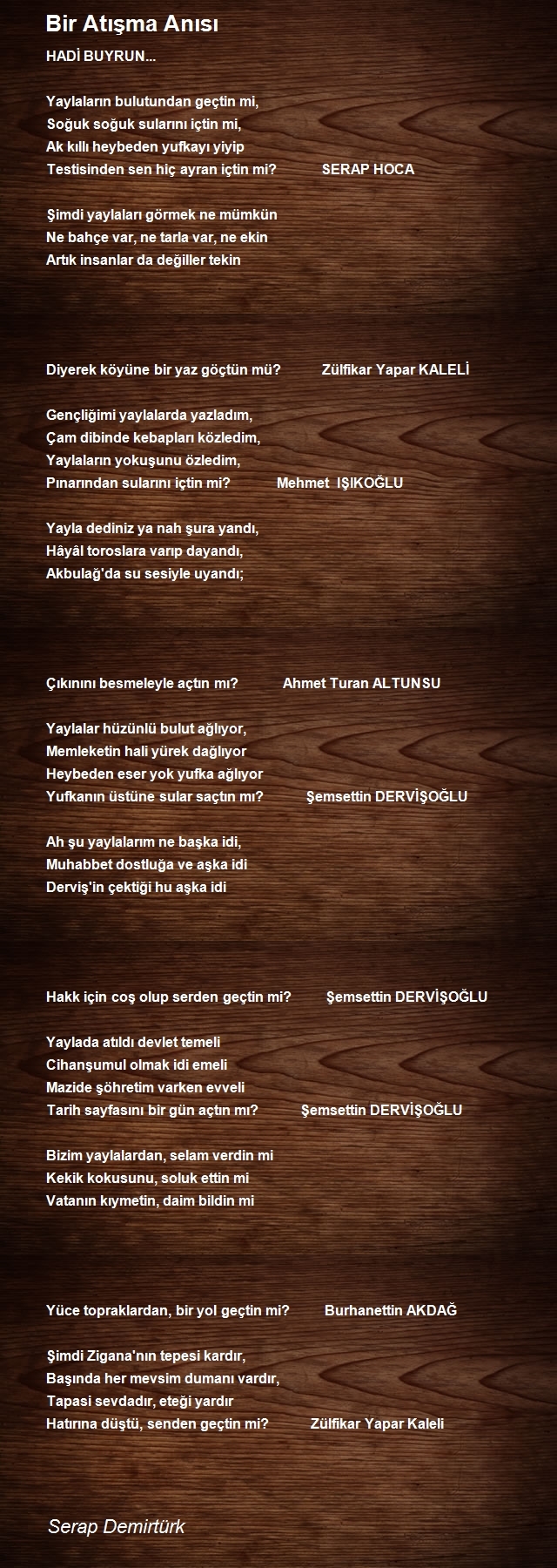 Serap Demirtürk