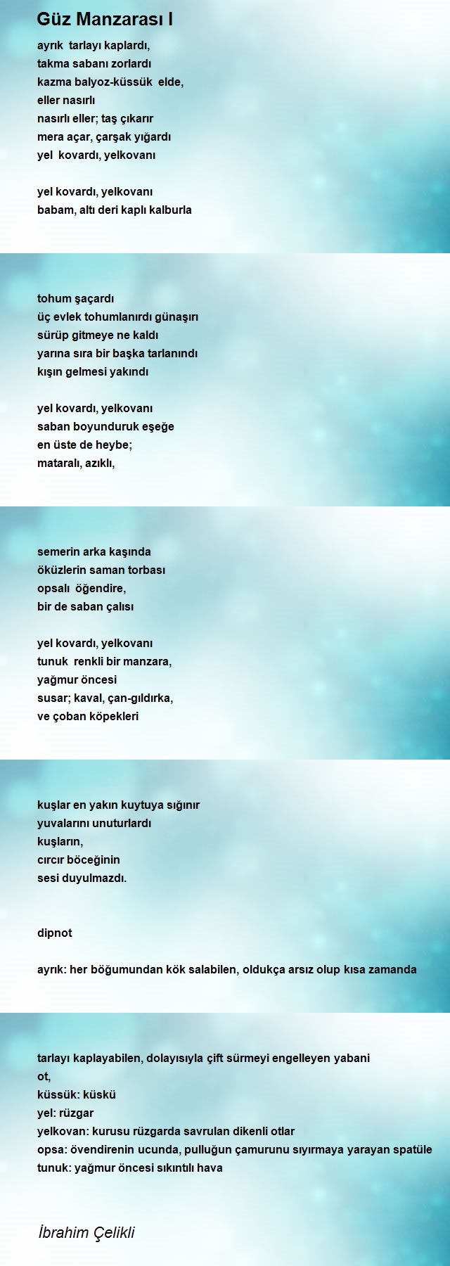 İbrahim Çelikli