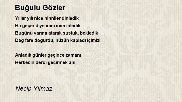 Necip Yılmaz