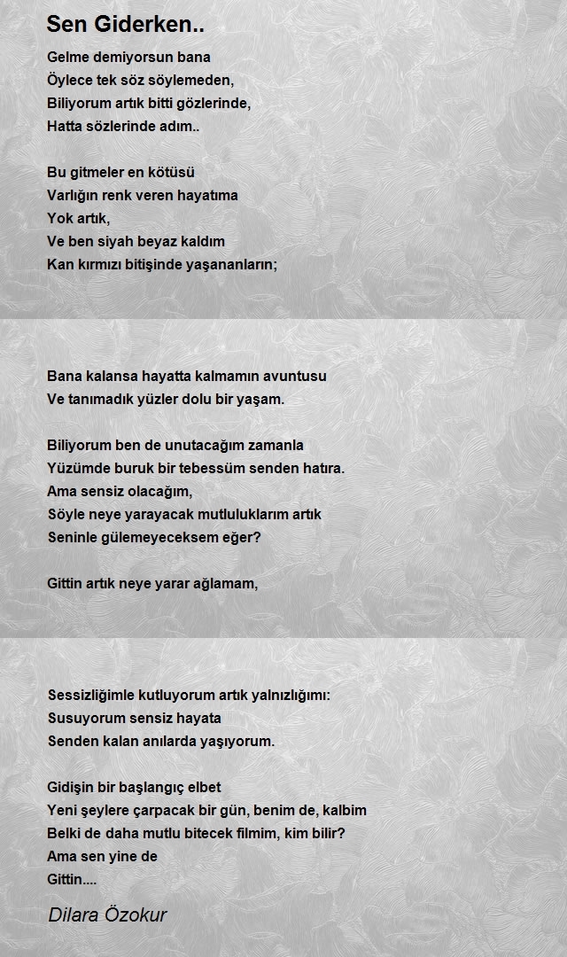 Dilara Şeşen 2