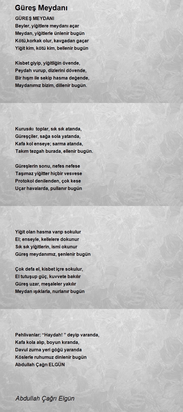 Abdullah Çağrı Elgün