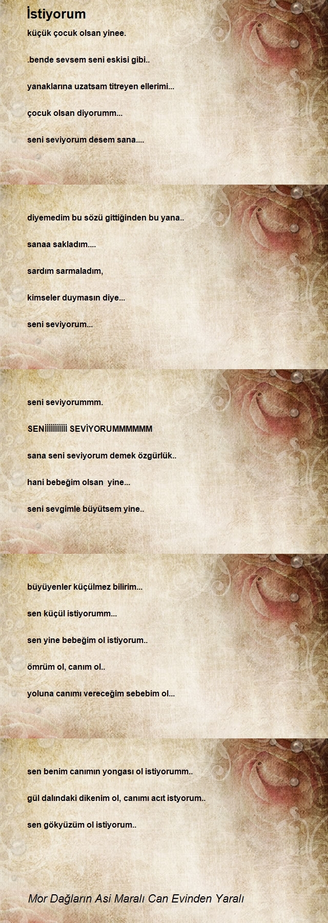 Mor Dağların Asi Maralı Can Evinden Yaralı