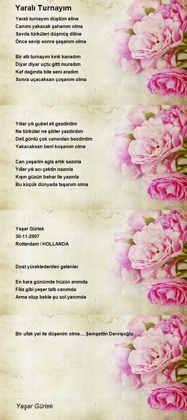 Yaşar Gürlek