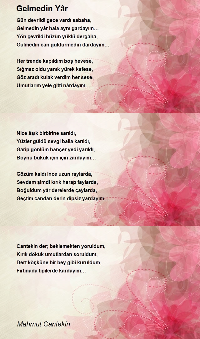 Mahmut Cantekin