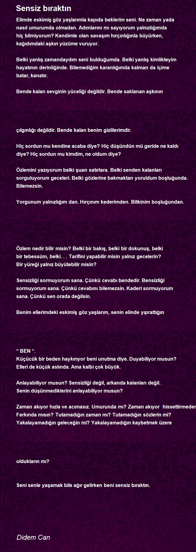 Didem Can