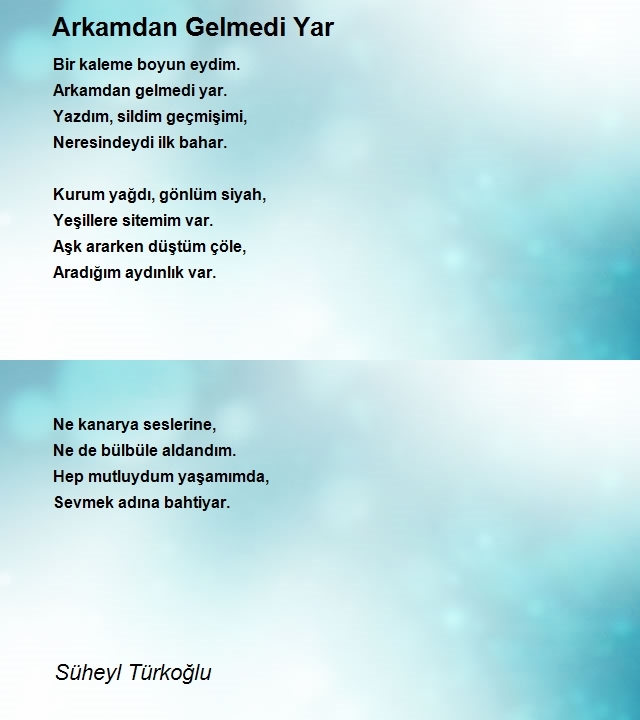 Süheyl Türkoğlu