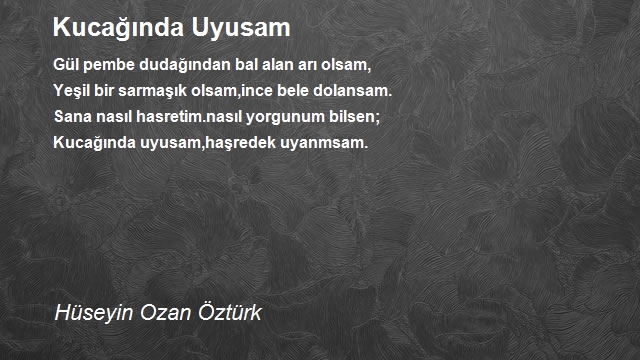 Hüseyin Ozan Öztürk