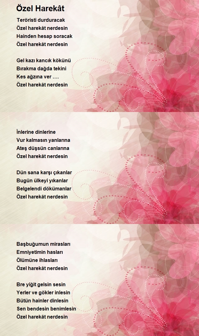 Ahmet Ergin