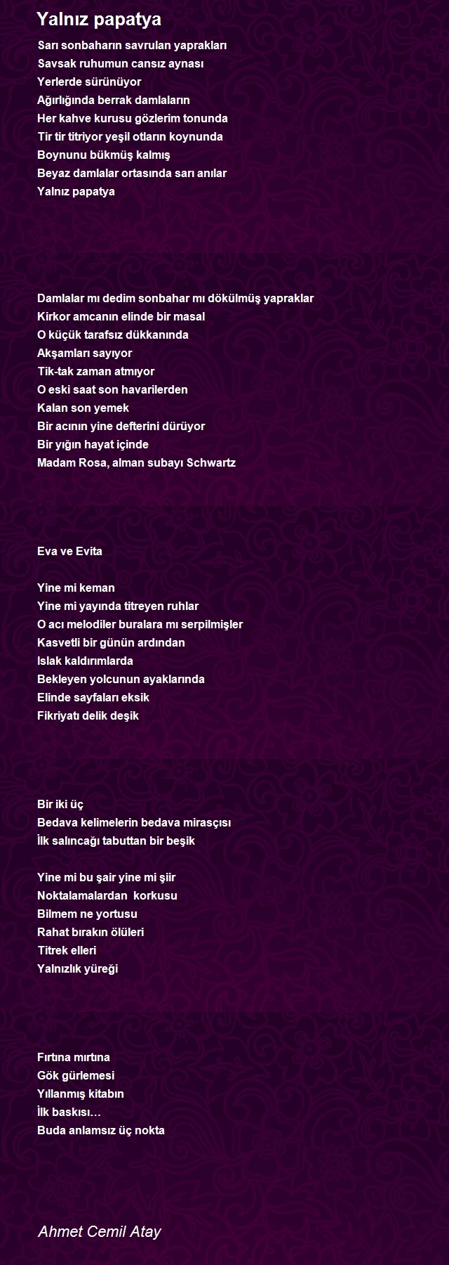 Ahmet Cemil Atay