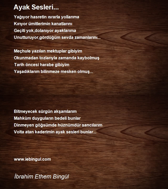 İbrahim Ethem Bingül