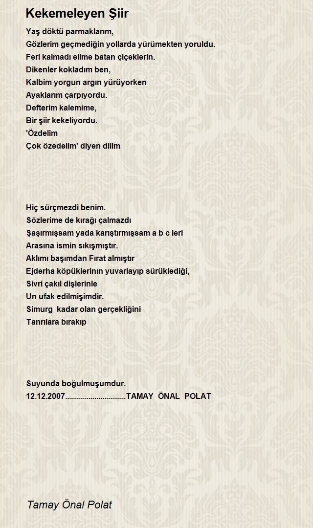 Tamay Önal Polat