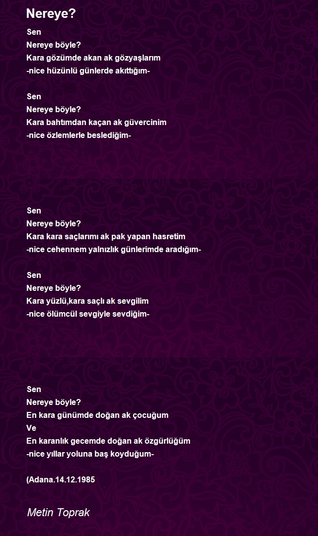 Metin Toprak