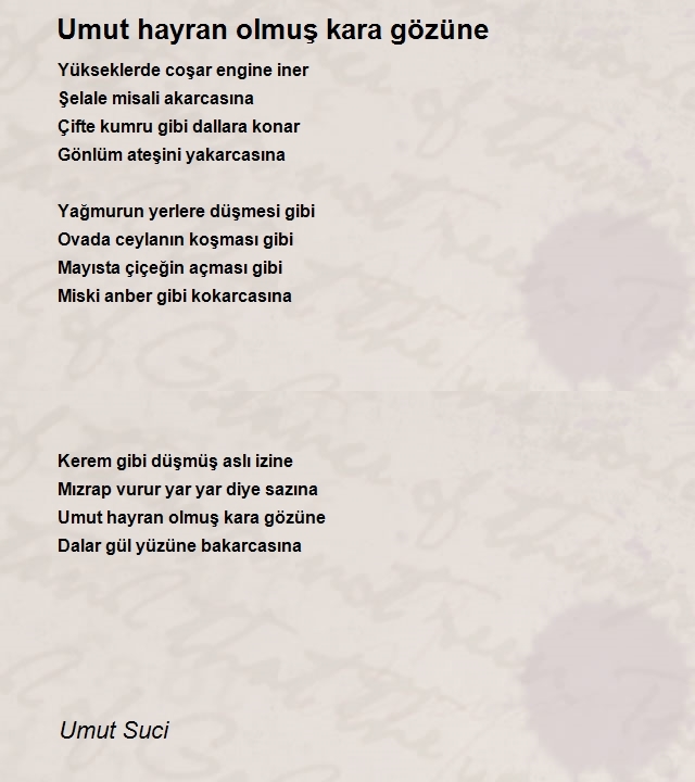 Umut Suci