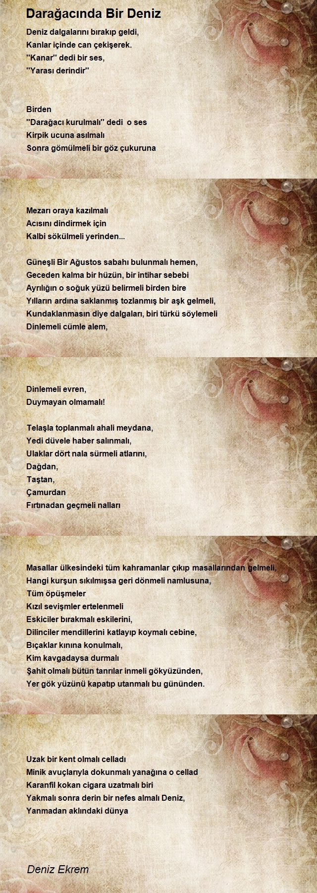 Deniz Ekrem