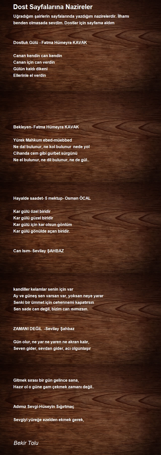 Bekir Tolu