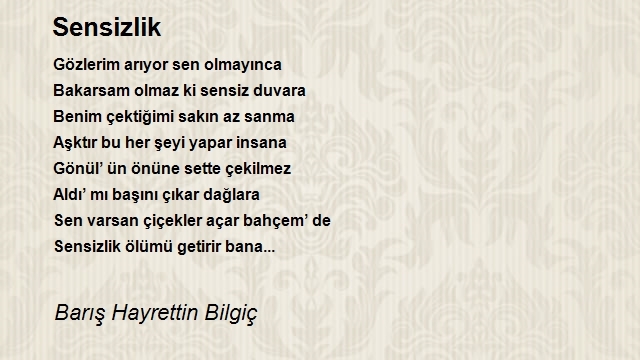 Barış Hayrettin Bilgiç