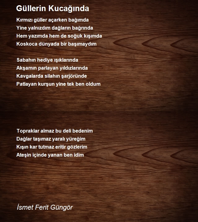 İsmet Ferit Güngör