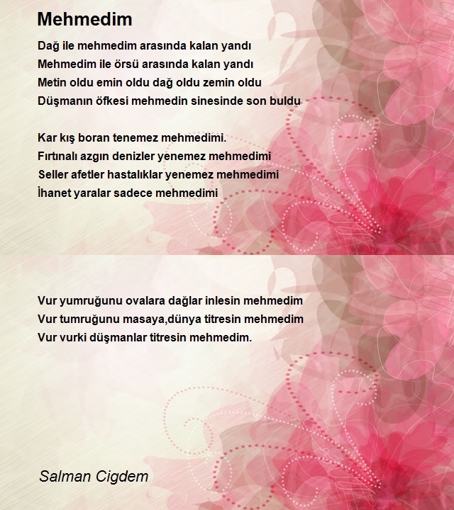 Salman Cigdem