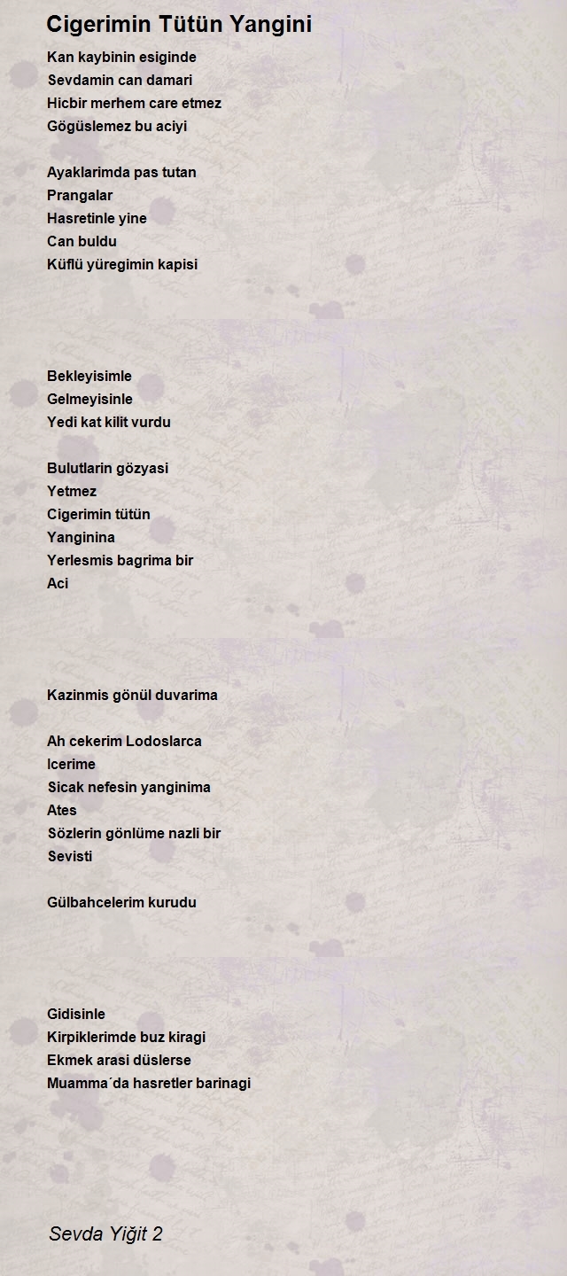 Sevda Yiğit 2