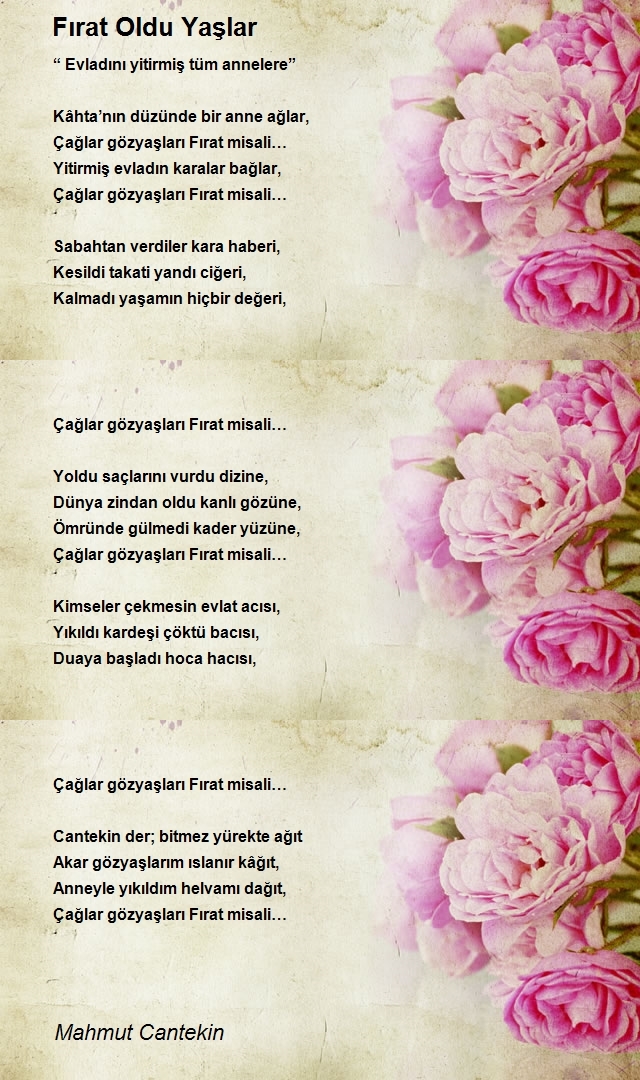 Mahmut Cantekin
