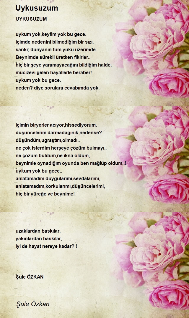 Şule Özkan