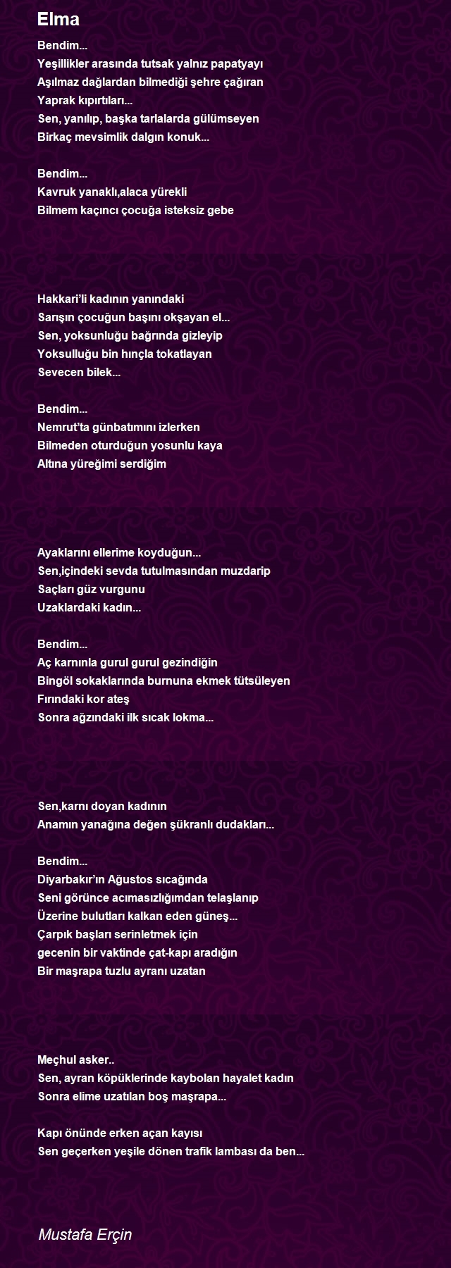 Mustafa Erçin