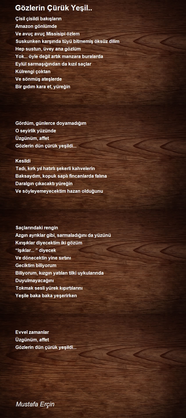 Mustafa Erçin
