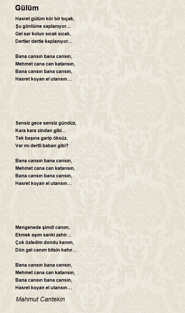 Mahmut Cantekin