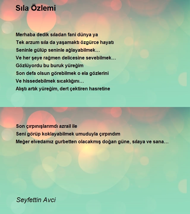 Seyfettin Avci