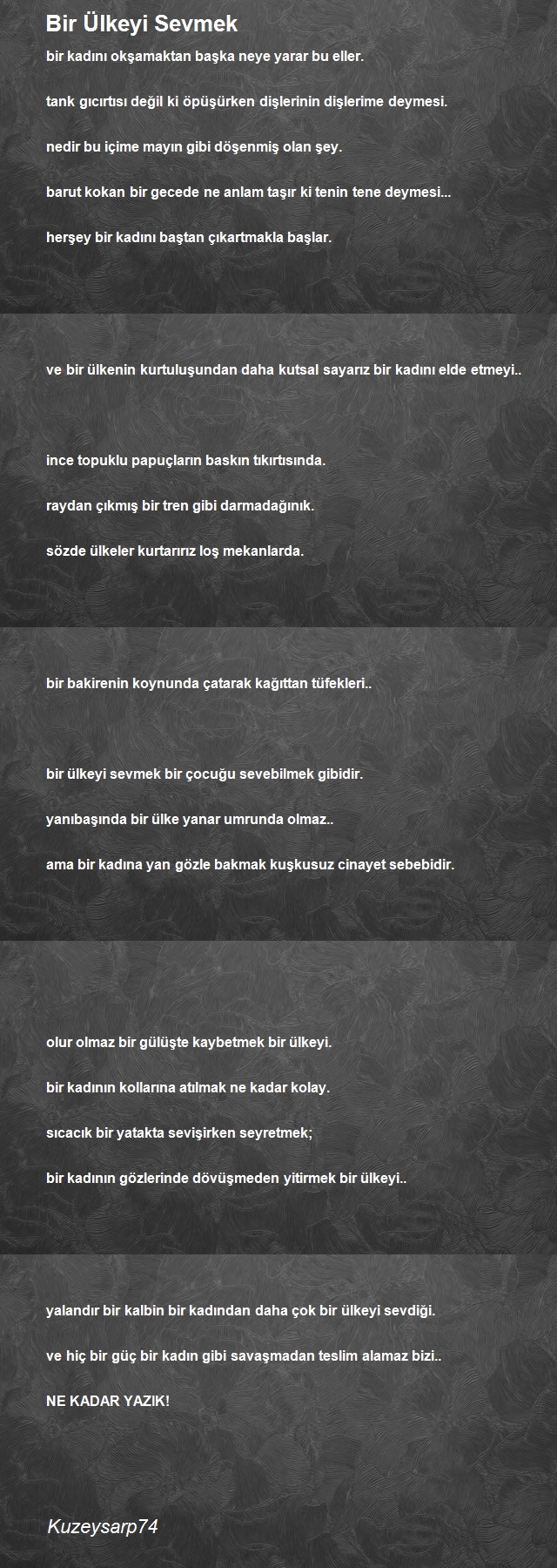 Şair Kuzeysarp74