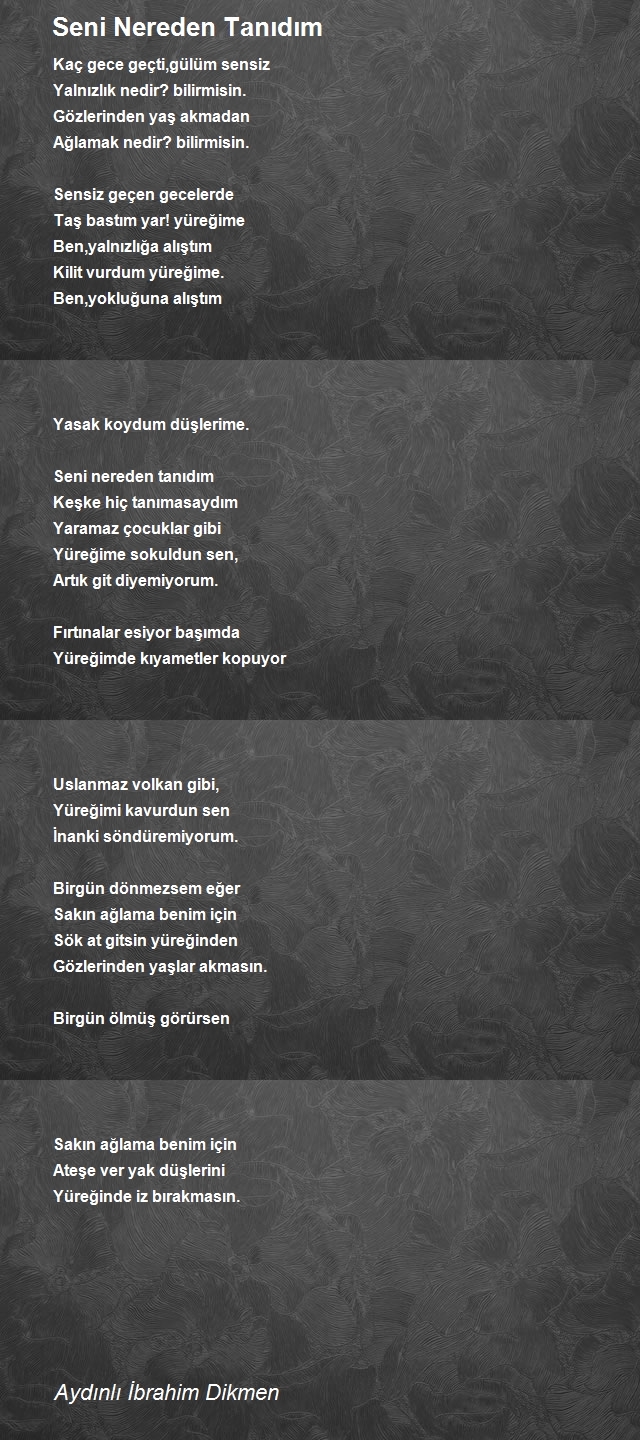 İbrahim Dikmen 2