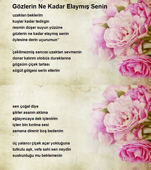 Güzin Eye Dündar