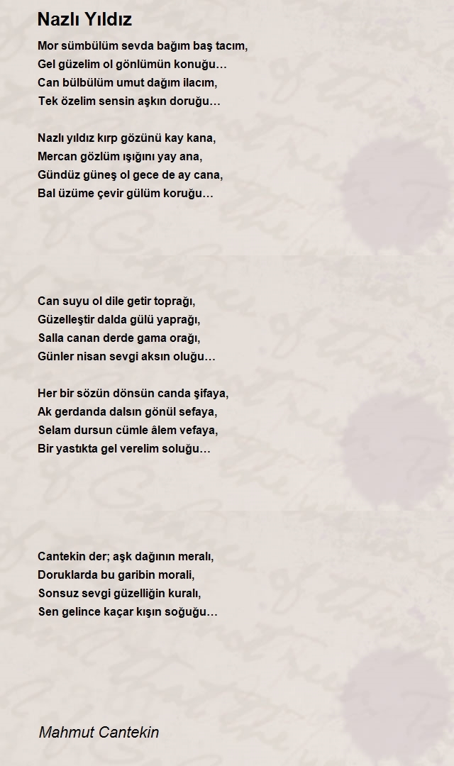 Mahmut Cantekin