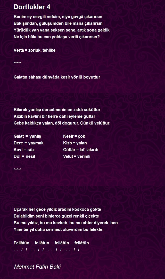 Mehmet Fatin Baki