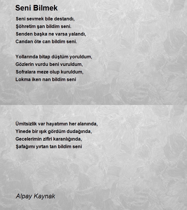 Alpay Kaynak