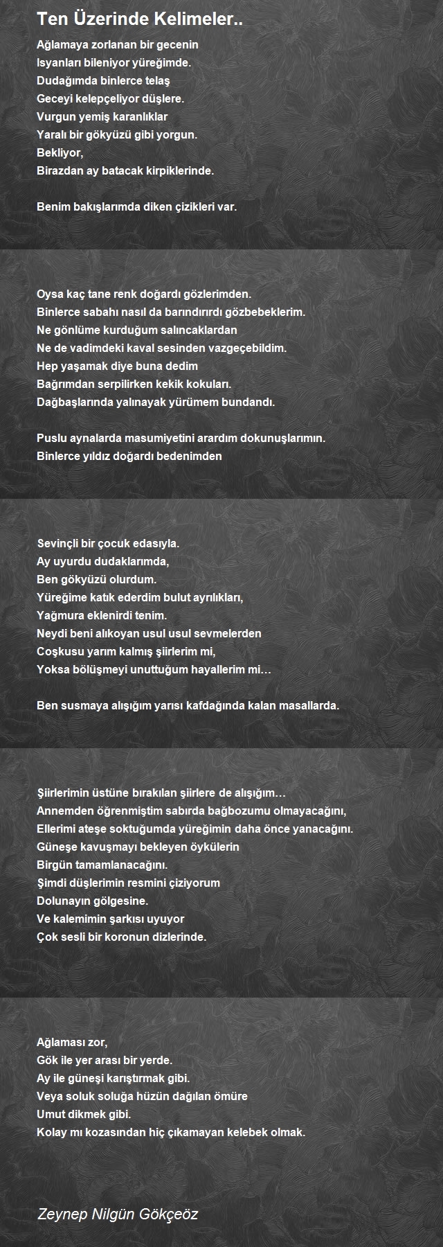 Zeynep Nilgün Gökçeöz