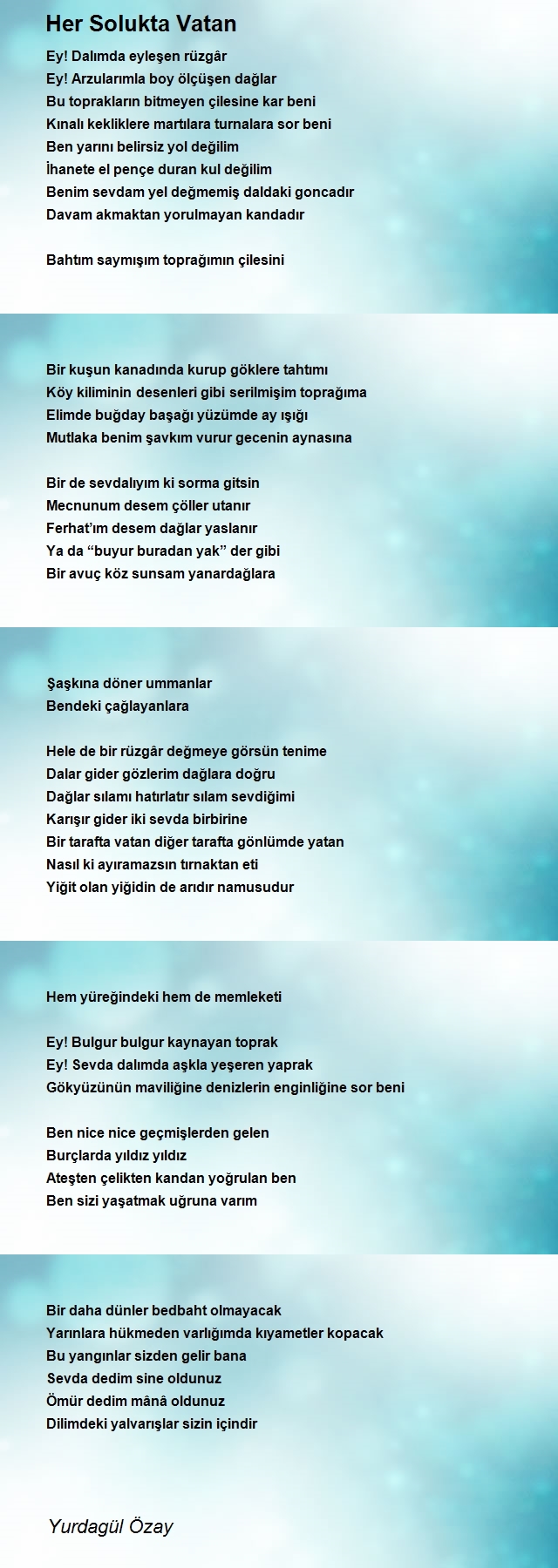 Yurdagül Özay