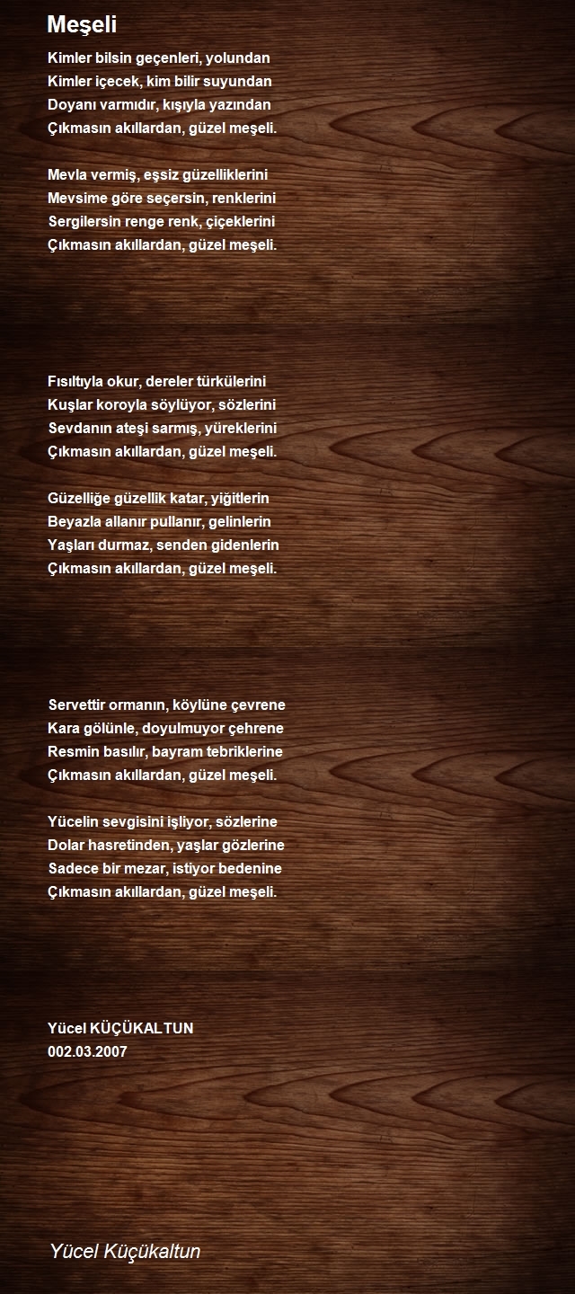 Yücel Küçükaltun