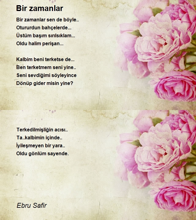 Ebru Safir