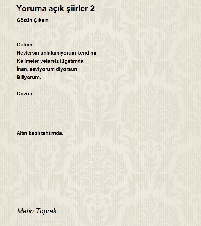 Metin Toprak