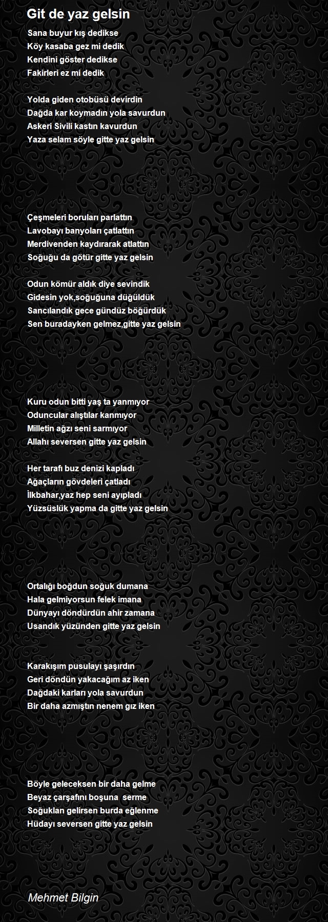 Mehmet Bilgin