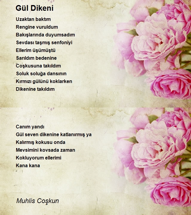 Muhlis Coşkun