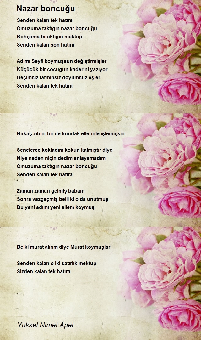 Yüksel Nimet Apel