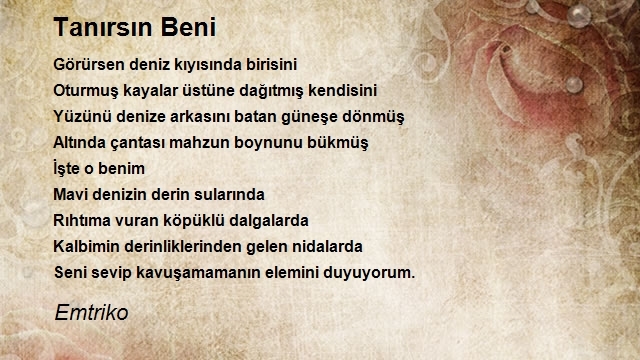 Şair Emtriko