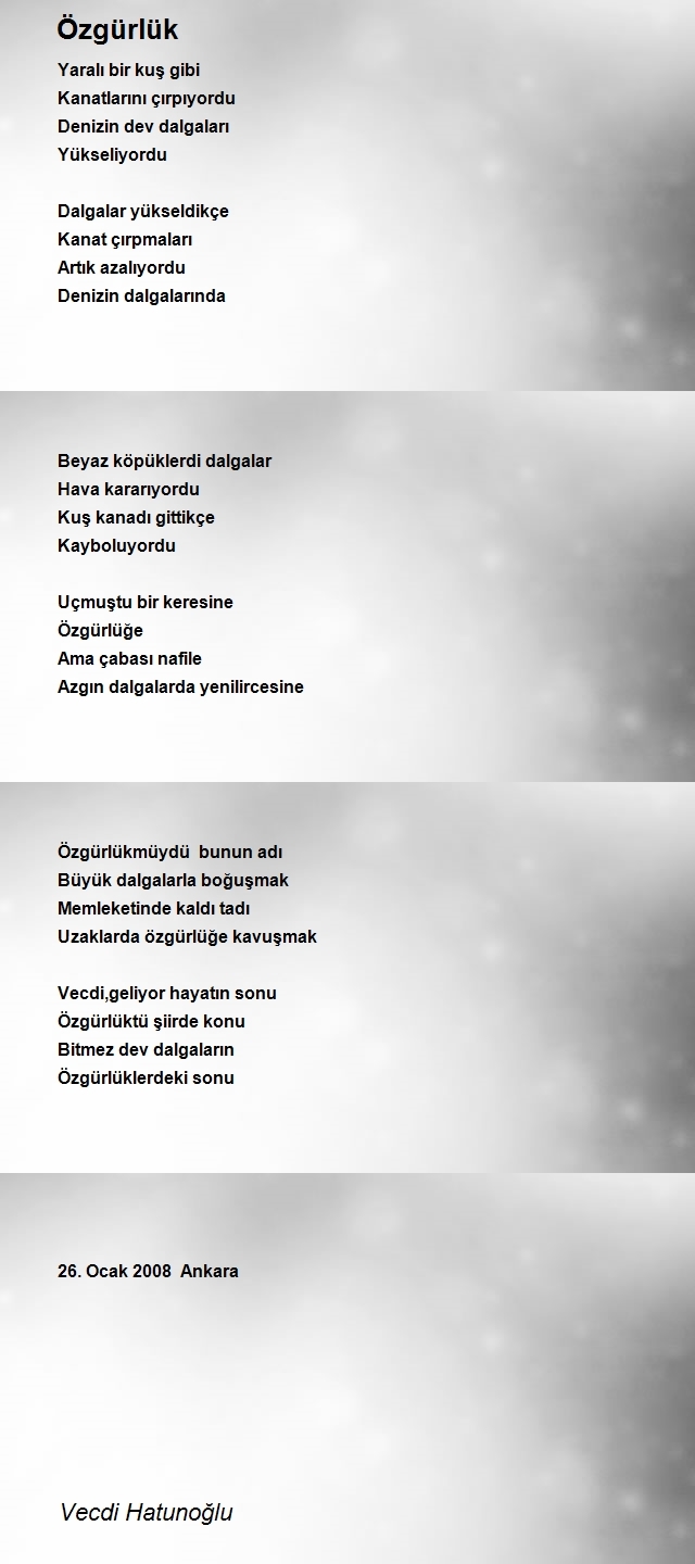 Vecdi Hatunoğlu